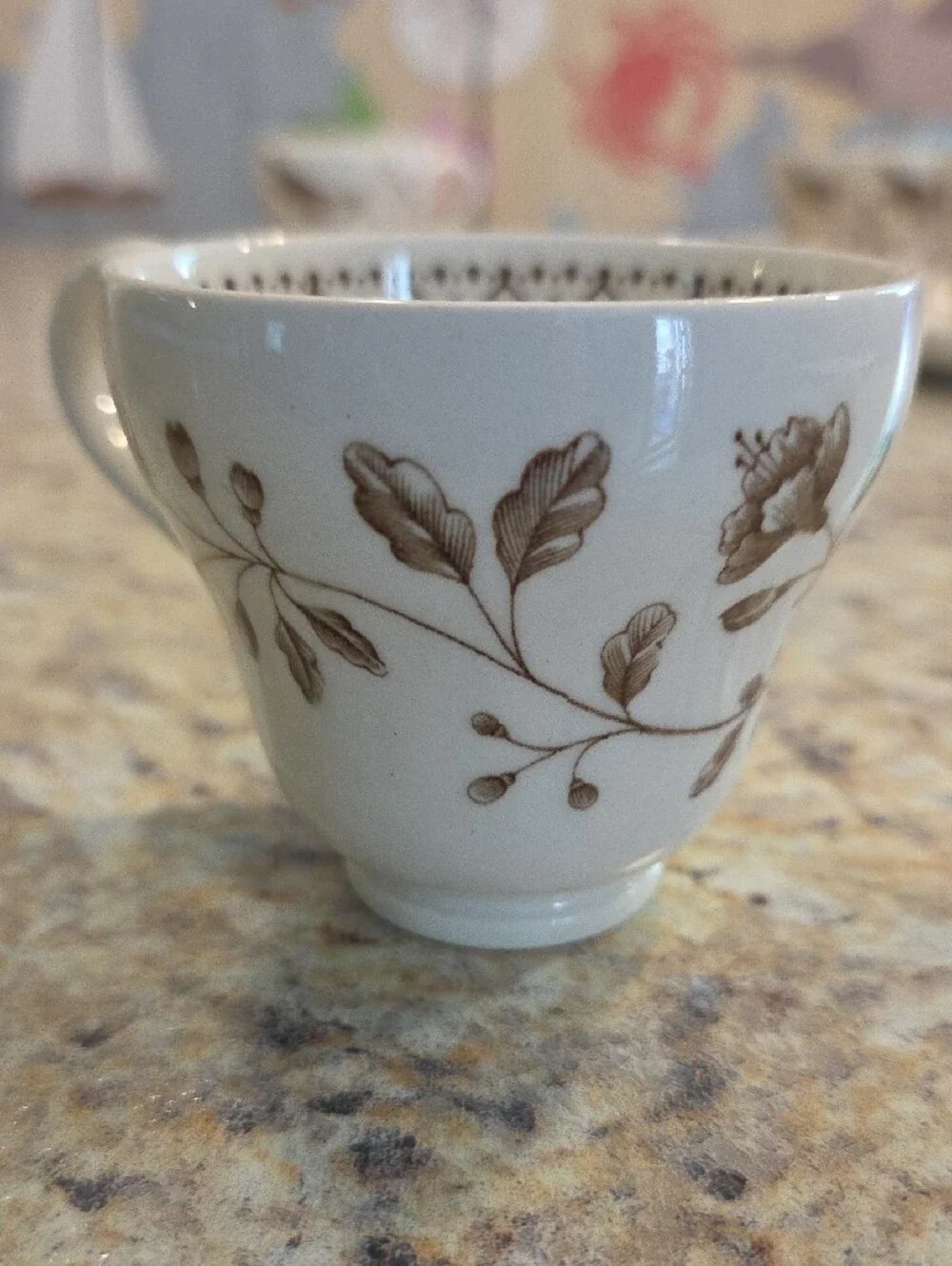Wedgwood Williamsburg Aviary Small Coffee/Tea Pot 6 Demitasse Cups And Saucers